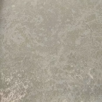 Обои Wiganford by Solo