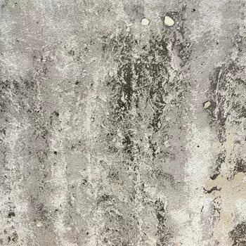 Обои Wiganford by Solo