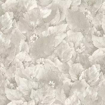 Обои Wiganford by Solo