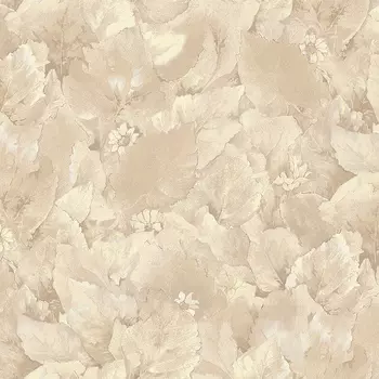 Обои Wiganford by Solo