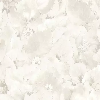 Обои Wiganford by Solo