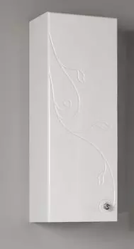 Одностворчатый шкаф Акватон