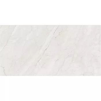 Palacio Marbella Grey Polished керамогранит 60x120 см