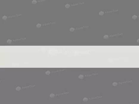 Плинтус Alpine Floor