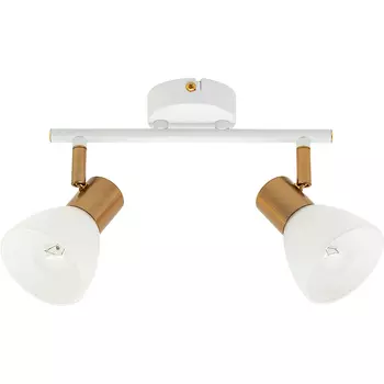 Потолочный светильник Artelamp