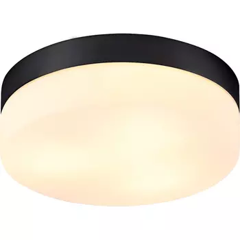 Потолочный светильник Artelamp