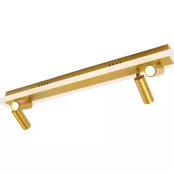 Потолочный светильник Artelamp