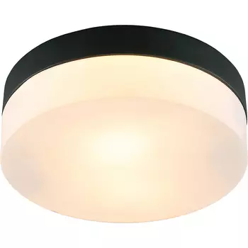 Потолочный светильник Artelamp