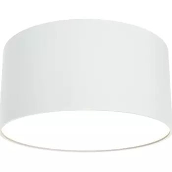 Потолочный светильник Maytoni