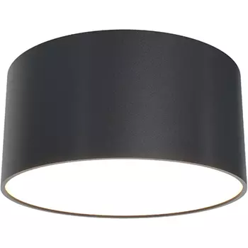 Потолочный светильник Maytoni