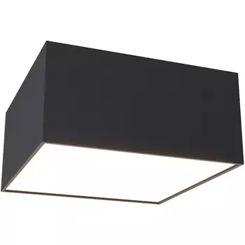 Потолочный светильник Maytoni