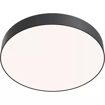 Потолочный светильник Maytoni