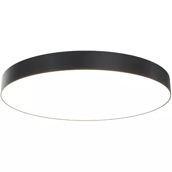 Потолочный светильник Maytoni