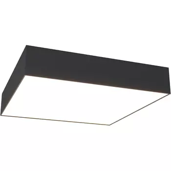 Потолочный светильник Maytoni