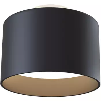 Потолочный светильник Maytoni