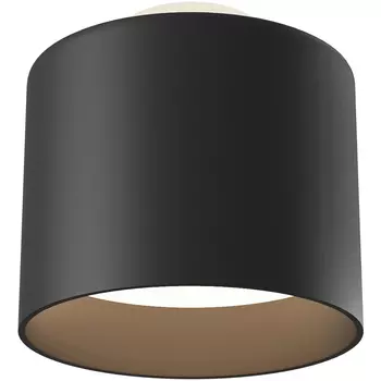 Потолочный светильник Maytoni