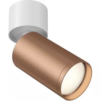 Потолочный светильник Maytoni