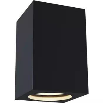 Потолочный светильник Maytoni