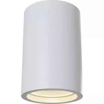 Потолочный светильник Maytoni