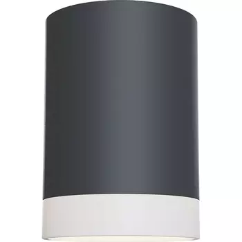 Потолочный светильник Maytoni