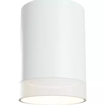 Потолочный светильник Maytoni