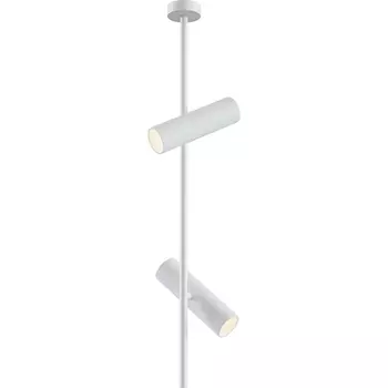 Потолочный светильник Maytoni