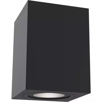 Потолочный светильник Maytoni