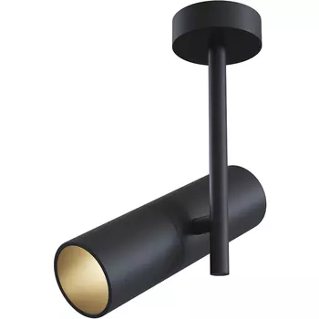 Потолочный светильник Maytoni