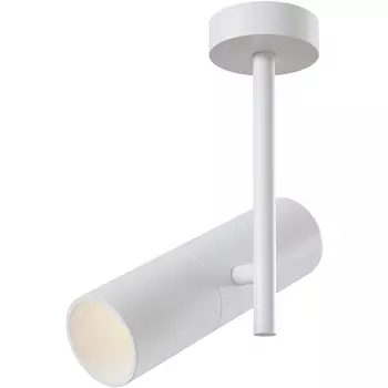 Потолочный светильник Maytoni