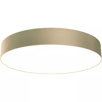 Потолочный светильник Maytoni