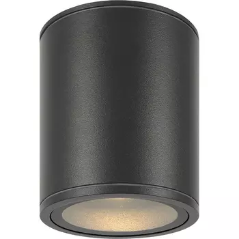 Потолочный светильник Maytoni