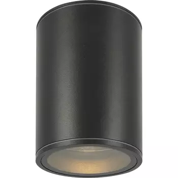 Потолочный светильник Maytoni