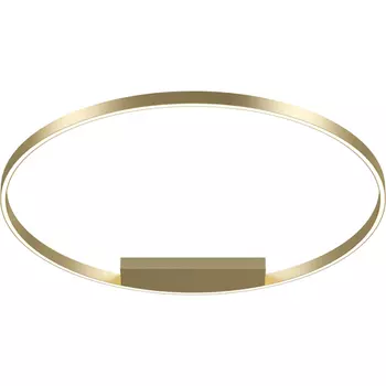 Потолочный светильник Maytoni