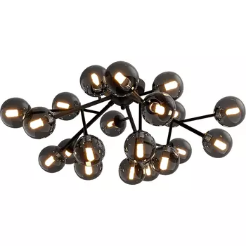 Потолочный светильник Maytoni