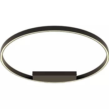 Потолочный светильник Maytoni