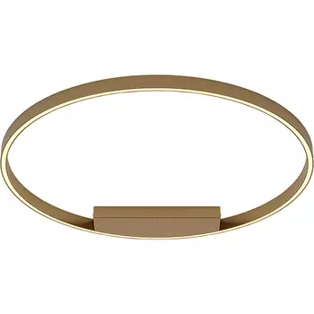 Потолочный светильник Maytoni