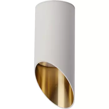 Потолочный светильник Maytoni