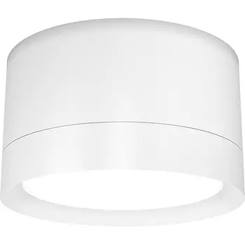 Потолочный светильник Maytoni