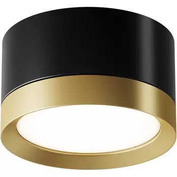 Потолочный светильник Maytoni