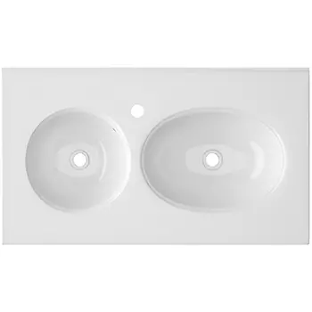 Раковина Ceruttispa