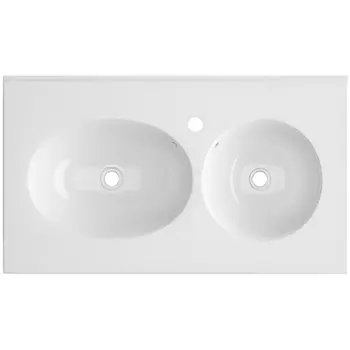 Раковина Ceruttispa