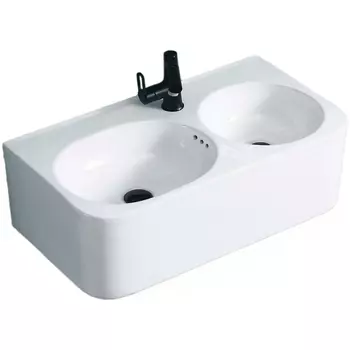 Раковина Ceruttispa