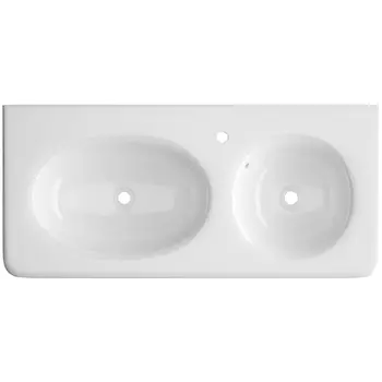 Раковина Ceruttispa