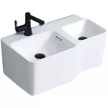 Раковина Ceruttispa