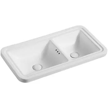 Раковина Ceruttispa