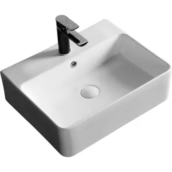 Раковина Ceruttispa