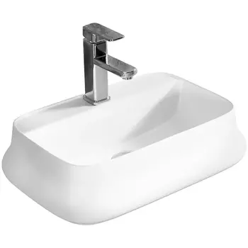 Раковина Ceruttispa