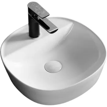 Раковина Ceruttispa