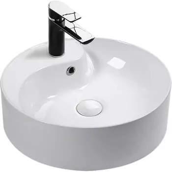 Раковина Ceruttispa