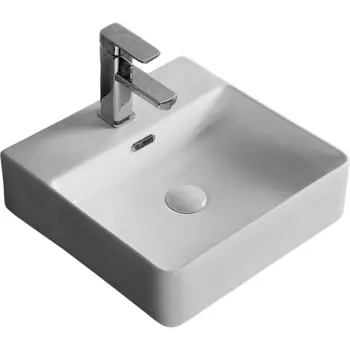 Раковина Ceruttispa